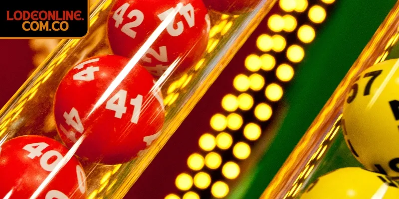 Sự kết hợp giữa phần mềm và cảm quan cá nhân